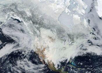 COMPLETAMENTE CONGELADO NORTEAMERICA
