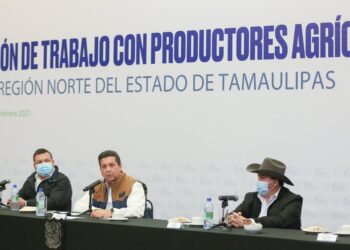 GOBERNADOR ANUNCIA QUE TAMAULIPAS DESTINARÁ RECURSOS PROPIOS ANTE DEVASTACIÓN. PROVOCADA POR LAS HELADAS