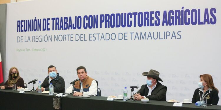 GOBERNADOR ANUNCIA QUE TAMAULIPAS DESTINARÁ RECURSOS PROPIOS ANTE DEVASTACIÓN. PROVOCADA POR LAS HELADAS