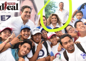 INFILTRA EL PAN CAMPAÑA DE GATAS