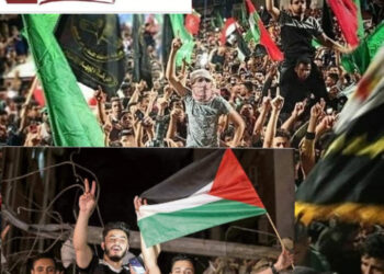 ISRAEL Y HAMAS PONEN FIN A 11DIAS DE ATAQUES CONSTANTES
