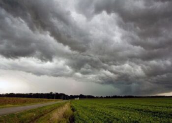 PRODUCTORES LO CELEBRAN PRECIPITACIONES QUE SE SINTIERON AYER EN CASI TODO EL ESTADO