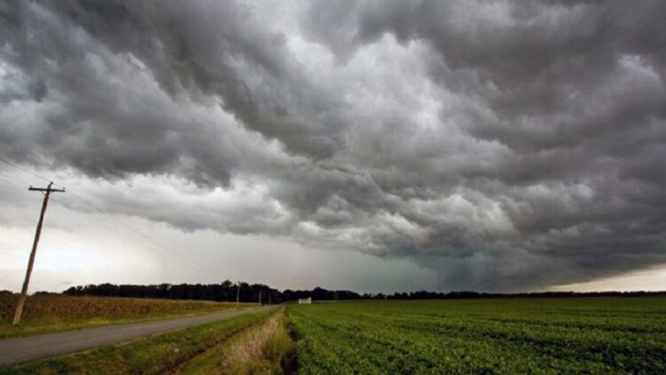 PRODUCTORES LO CELEBRAN PRECIPITACIONES QUE SE SINTIERON AYER EN CASI TODO EL ESTADO