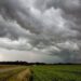 PRODUCTORES LO CELEBRAN PRECIPITACIONES QUE SE SINTIERON AYER EN CASI TODO EL ESTADO