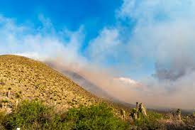 VUELVE FUEGO A LA SIERRA DE MIQUIHUANA