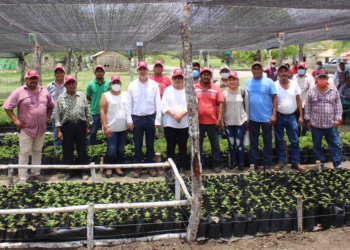 SEMBRANDO VIDA ALCANZA MÁS DE 4 MIL BENEFICIARIOS EN TAMAULIPAS