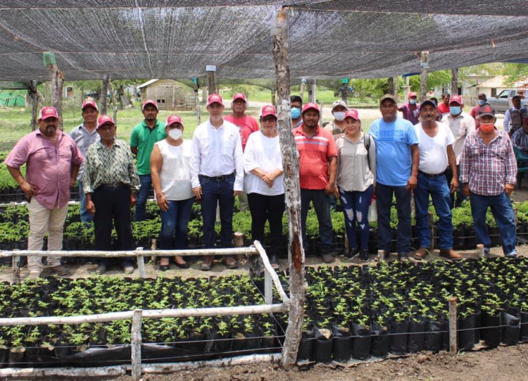 SEMBRANDO VIDA ALCANZA MÁS DE 4 MIL BENEFICIARIOS EN TAMAULIPAS