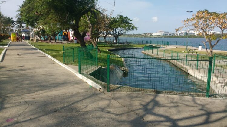 UNA MÁS DEL CONGRESO DEL ESTADO ¡PRIVATIZAN LAGUNA DEL CARPINTERO POR 30 AÑOS!