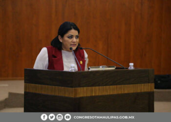 EXHORTAN A NADER INFORME SOBRE CONCESIÓN DE ÁREAS PÚBLICAS DEL PARQUE “LAGUNA DEL CARPINTERO”