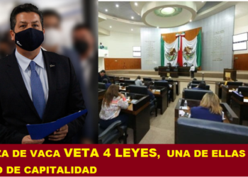 CABEZA DE VACA VETA 4 LEYES,  UNA DE ELLAS ES EL FONDO DE CAPITALIDAD