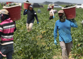 EMPRESAS FANTASMAS PROMETEN EMPLEOS EN EUA
