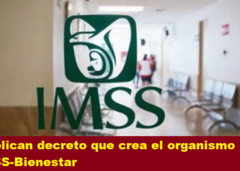 PUBLICAN DECRETO QUE CREA EL ORGANISMO IMSS-BIENESTAR