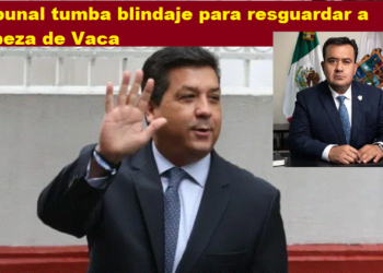 TRIBUNAL TUMBA BLINDAJE PARA RESGUARDAR A CABEZA DE VACA