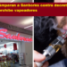 AMPARAN A SANBORNS CONTRA DECRETO QUE PROHÍBE VAPEADORES