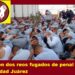 CAEN DOS REOS FUGADOS DE PENAL EN CIUDAD JUÁREZ