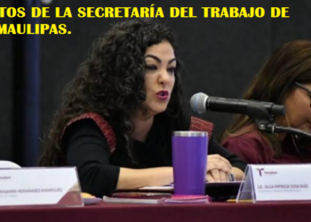 DATOS DE LA SECRETARÍA DEL TRABAJO DE TAMAULIPAS