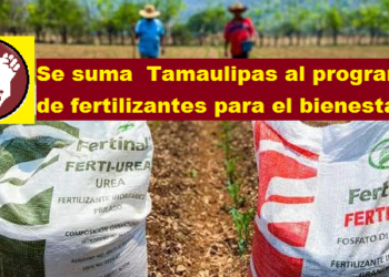 SE SUMA  TAMAULIPAS AL PROGRAMA DE FERTILIZANTES PARA EL BIENESTAR