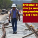 TRIBUNAL DE YUCATÁN OTORGA NUEVA SUSPENSIÓN AL TRAMO 5 DEL TREN MAYA