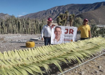 MIQUIHUANA SE PINTARA DE GUINDA