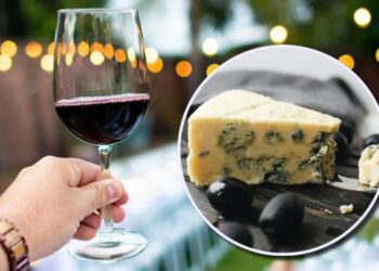 FERIA DEL MEZCAL, VINO Y QUESO