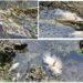 INVESTIGAN MORTANDAD DE PECES EN CANAL DE EL MANTE: ACTIVAN PROTOCOLO AMBIENTAL Y SANITARIO