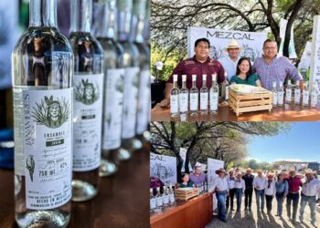 Nace el primer mezcal 100% jaumavense: Janambres, orgullo del Altiplano
