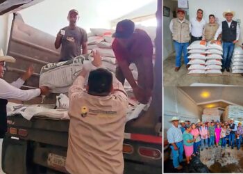 FERTILIZANTES PARA EL BIENESTAR: apoyo directo al campo tamaulipeco