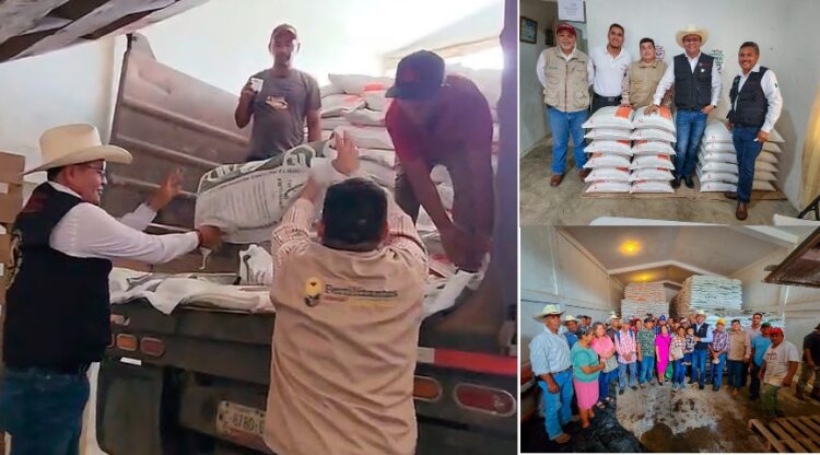 FERTILIZANTES PARA EL BIENESTAR: apoyo directo al campo tamaulipeco