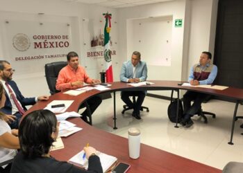8ª MESA DE SALUD EN TAMAULIPAS: LA SALUD QUE TOCA LA PUERTA Y LLEGA CASA POR CASA