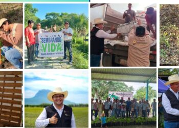 LA TRANSFORMACIÓN DEL CAMPO TOMA FUERZA EN TAMAULIPAS CON APOYO FEDERAL