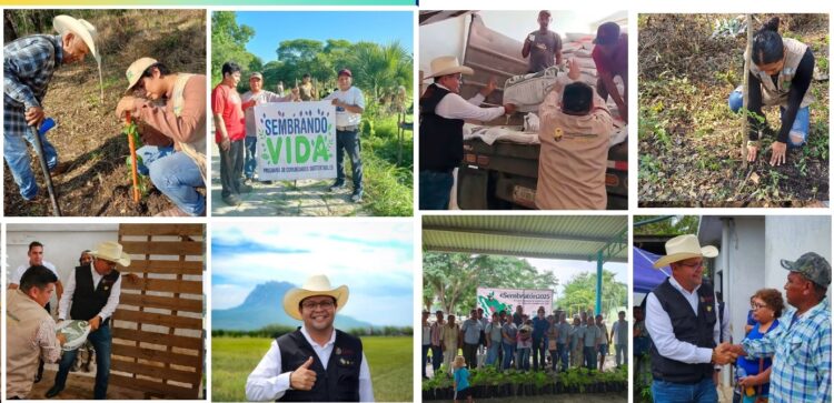 LA TRANSFORMACIÓN DEL CAMPO TOMA FUERZA EN TAMAULIPAS CON APOYO FEDERAL