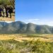 JAUMAVE REAFIRMA SU COMPROMISO CON LA CONSERVACIÓN: MANUEL BÁEZ PARTICIPA EN EL 2º FORO ESTATAL DE LA MARIPOSA MONARCA