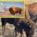 Regresa el bisonte americano a Coahuila después de 160 años: UN RENACER EN CUATRO CIÉNEGAS