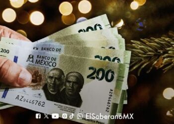 Fiestas decembrinas impulsarán fuerte movimiento económico en la capital: CANACO