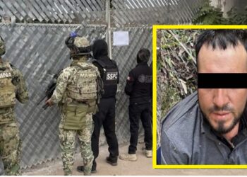 Operativo de la Marina desarticula red delictiva y asegura laboratorios, armas y precursores químicos