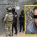 Operativo de la Marina desarticula red delictiva y asegura laboratorios, armas y precursores químicos