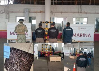 Marina frena envío internacional de casi 100 kilos de droga en el puerto de Veracruz
