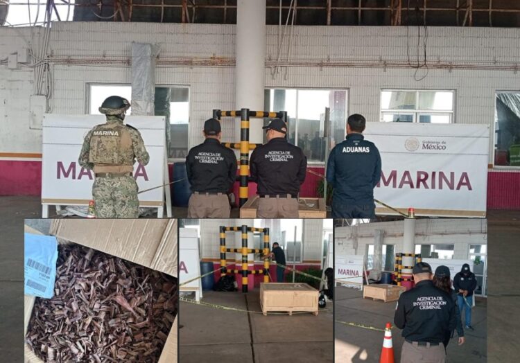 Marina frena envío internacional de casi 100 kilos de droga en el puerto de Veracruz