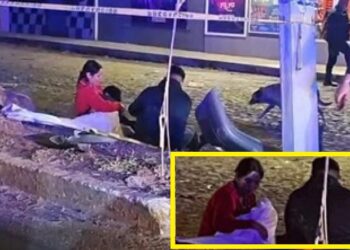 Tragedia enluta la Navidad en Tepic: MENOR PIERDE LA VIDA TRAS ACCIDENTE EN MOTOCICLETA