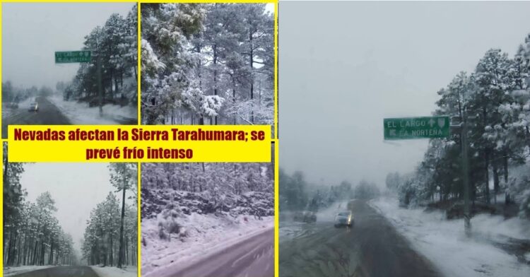 Nevadas afectan la Sierra Tarahumara; se prevé frío intenso