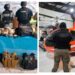 Operativos conjuntos desmantelan red aérea clandestina y aseguran arsenal en Veracruz
