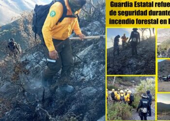 Guardia Estatal refuerza labores de seguridad durante atención a incendio forestal en Bustamante