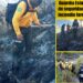 Guardia Estatal refuerza labores de seguridad durante atención a incendio forestal en Bustamante