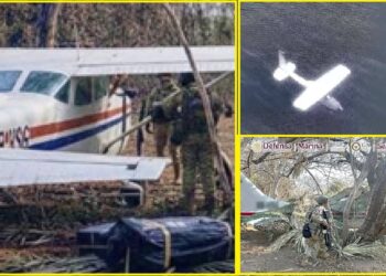 Aseguran aeronave y más de media tonelada de cocaína en operativo federal en Oaxaca