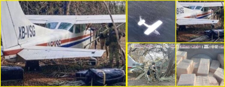 Aseguran aeronave y más de media tonelada de cocaína en operativo federal en Oaxaca