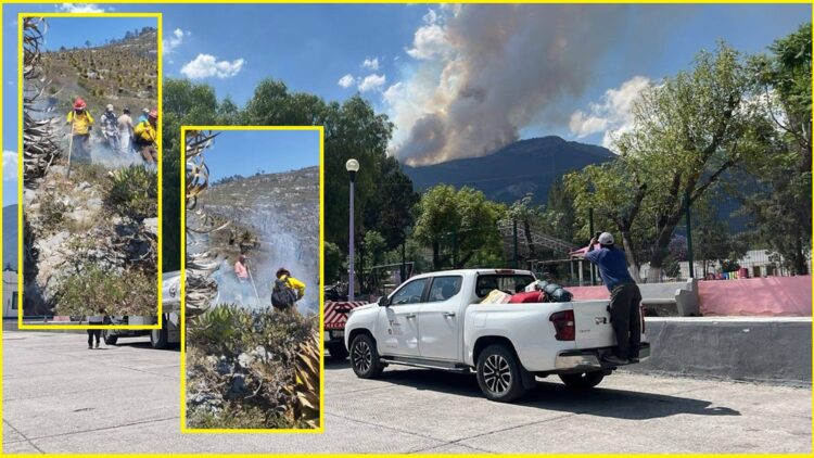 Refuerzan combate a incendio forestal en Miquihuana; 69 hectáreas afectadas