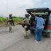 Refuerzan vigilancia en carreteras de Tamaulipas con operativo permanente de fuerzas federales y estatales