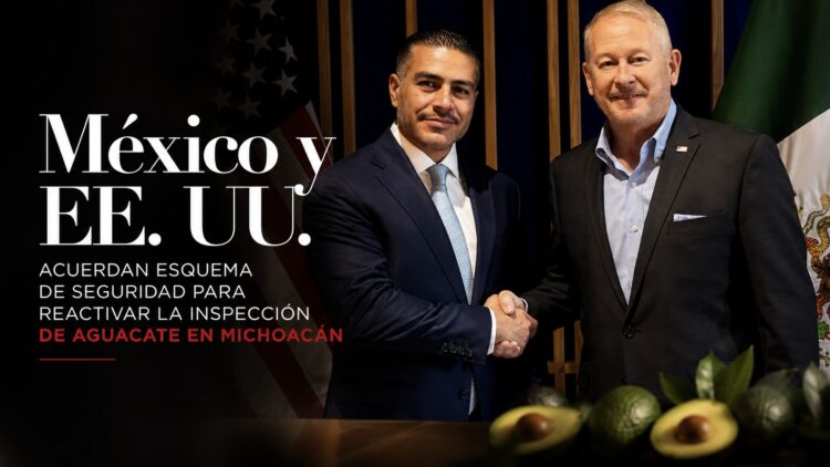 México y EE. UU. acuerdan esquema de seguridad para reactivar la inspección de aguacate en Michoacán