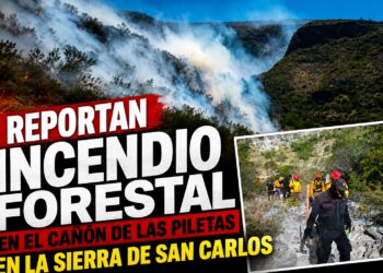 Reportan incendio forestal en el Cañón de Las Piletas en la Sierra de San Carlos