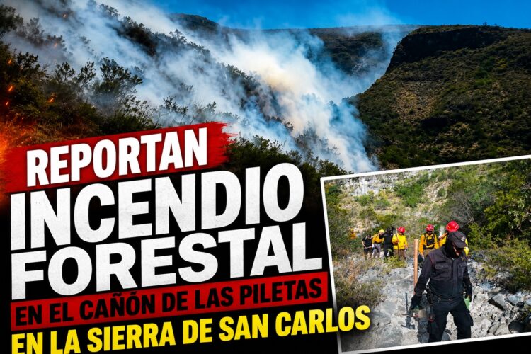 Reportan incendio forestal en el Cañón de Las Piletas en la Sierra de San Carlos